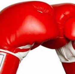 Lahirkan Bibit Unggul, Pertina Sulteng Sukses Gelar Turnamen 'Berani Boxing' di Tengah Antusiasme Publik